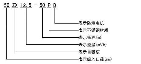 不锈钢自吸泵型号意义